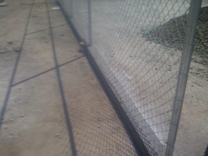 IMG-20111026-00276