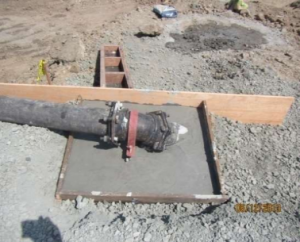 Imagen2