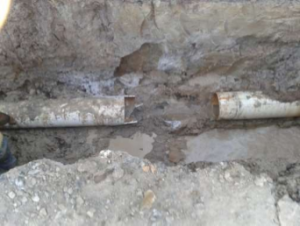 Imagen2