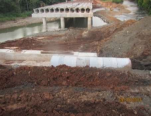 Imagen5