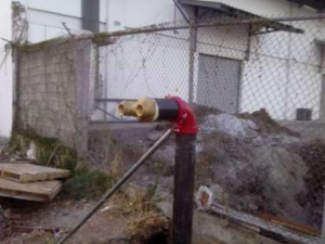 Imagen5