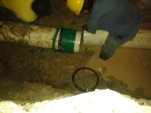 Imagen5