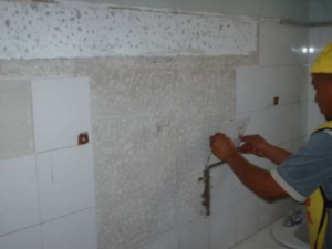 Imagen7