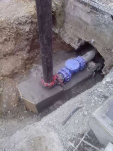 Imagen7