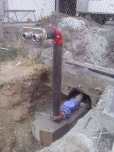 Imagen8