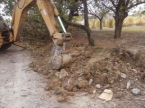 Imagen8